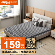 雅戈兰罗天然椰棕床垫定制榻榻米可折叠床垫1米5床垫宿舍偏硬床垫