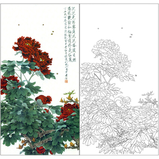 tp395工笔画牡丹临摹画稿白描，底稿国画花鸟四六尺线描素材打印稿