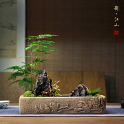 文竹菖蒲组合盆景室内植物汉砖枯山水苔藓办公桌茶桌面盆栽绿植