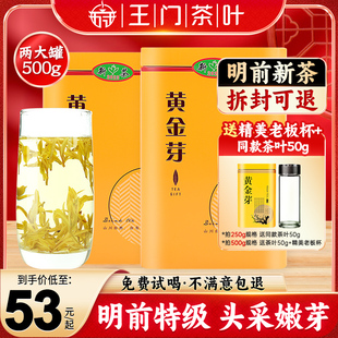 黄金芽茶叶2023年新茶绿茶白茶春茶浓香型安吉罐装