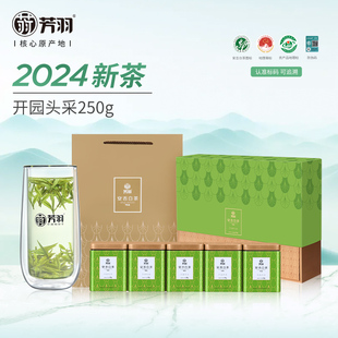 2024年新茶上市芳羽安吉白茶礼盒装250g茶叶开园头采特级绿茶送礼