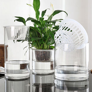 厂水培植物玻璃瓶透明直筒圆柱形花瓶简约绿萝白掌水养玻璃容器品