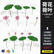 荷塘植物花卉花苞花朵荷花荷叶C4D模型3dsmax blender素材C1716