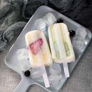 雪糕模具透明冰棍家用自制diy创意无毒10连老冰棒模具单个
