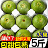 东北绿宝甜瓜5斤大果新鲜水果，当季时令小甜瓜脆瓜绿宝石香瓜
