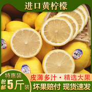 美国进口新奇士黄柠5斤新鲜水果南非黄柠檬大果5/8/12个皮薄多汁