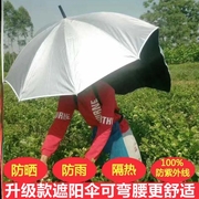 可背式采茶伞遮阳伞户外钓鱼防晒伞头顶伞，解放双手户外工作折叠伞