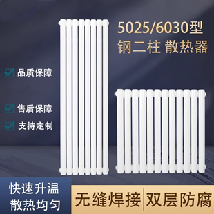 暖气片家用钢制二注水暖散热器散热片壁挂式集中供暖天然气炉取暖