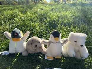 日本Aqua海豹企鹅北极熊宝宝毛绒玩具公仔玩偶冰房子冰窝可爱礼物