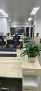 办公家具深圳工厂个性化定制开放办公桌，现代时尚简约办公台