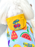 网红泰迪狗狗衣服夏季薄款时尚宠物服装水果印花连帽T恤
