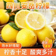 四川安岳黄柠檬(黄柠檬)新鲜水果5斤一级果皮薄汁多彩带独立包装