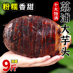 广西荔浦新鲜大芋头9斤农家特产紫藤毛芋头香芋槟榔芋蔬菜10