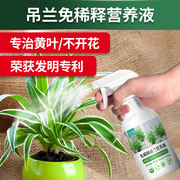 吊兰专用肥料吊兰专用营养液，免稀释吊兰，专用营养土