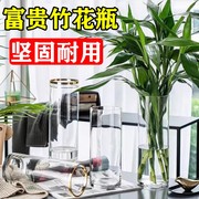 富贵竹花瓶专用水培植物，大器皿玻璃透明养水竹，雪柳马醉木客厅摆件