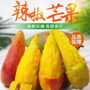 海南辣椒芒5斤装新鲜热带水果当季三亚甜心芒果皮薄核小整箱