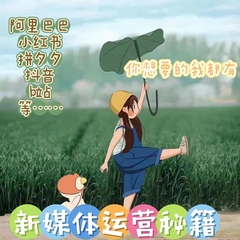 新媒体运营 网盘自提 自动