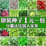 蔬菜种子四季播种阳台，农家盆栽香菜菠菜，生菜韭菜小葱草莓籽孑大全