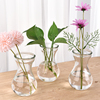 风信子水培瓶创意简约玻璃器皿绿萝水仙花植物花盆摆件客厅插花瓶