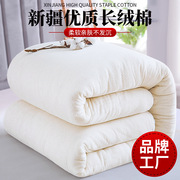新疆棉被花被芯冬被保暖棉絮长绒棉胎垫被褥床垫被子宿舍