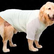大狗狗衣服夏季薄款金毛萨摩耶拉布拉多夏天透气中型犬大型犬夏装