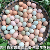 高山农村散养土鸡蛋农家散养乌鸡蛋正宗乌鸡蛋30枚宝宝蛋草鸡蛋