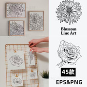 线条手绘线稿花卉花朵艺术，装饰插画ai矢量图，png设计logo图标素材