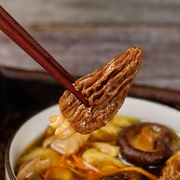 云南特产菌汤包松茸羊肚菌干货山珍，煲汤食材七彩，菌菇汤的料包汤料