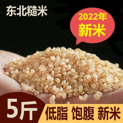 东北5斤低脂发芽代餐杂粮新米