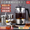 西麦煮茶器2024高端蒸茶炉玻璃蒸汽养生茶壶喷淋式白茶办公室