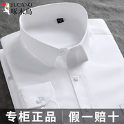 啄木鸟白色衬衫男士短袖，长袖夏季商务正装，工装职业中青年蓝棉衬衣