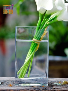 透明玻璃花瓶方口简约创意大号富贵竹水培花瓶花器客厅欧式摆件