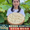 今年新货湘潭磨皮去芯莲子干货500g特产级食用白莲子百合银耳