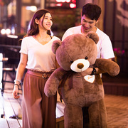 泰迪熊熊猫公仔毛绒玩具，抱抱熊大号玩偶布娃娃送女友，1.2米礼物1.8