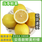 四川安岳柠檬黄柠檬新鲜奶茶店专用商用一级香水柠檬无籽柠檬