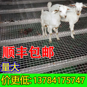 羊床钢丝网漏粪网养羊用的设备钢网鸡鸭鹅漏粪网热镀锌编织围栏网