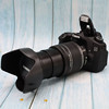 canon佳能eos60d90d专业套机中端单反数码照相机高清摄影旅游
