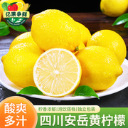 四川安岳黄柠檬5斤新鲜水果现摘皮薄香水青酸甜柠奶茶店专用