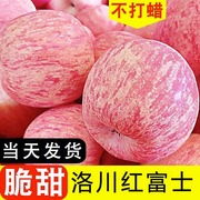 陕西洛川正宗红富士苹果新鲜水果冰糖心脆甜当季一级大果10斤