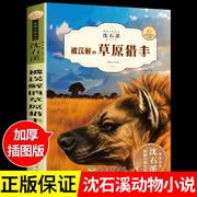 被误解的草原猎手 沈石溪动物小说全集珍藏版儿童文学经典课外书籍适合小学生的课外书三四五六年级课外书阅读小学读的看的书全套