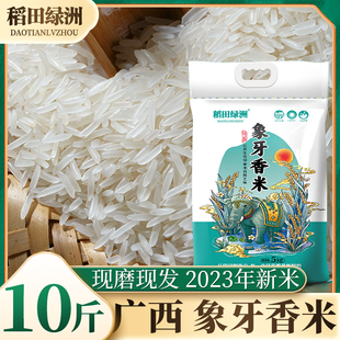 20斤广西象牙香米丝苗米10斤常五大米煲仔饭猫籼米牙茉莉清香米