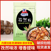 味好美孜然粉10g小包装家用腌料烤肉，新疆羊肉串蘸料烧烤调料撒料