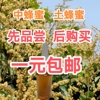 广东冬蜜蜂蜜中蜂蜜土蜂蜜百花蜜农家蜜纯天然零添加便携装挤压装