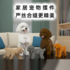 积卡泰迪贵宾犬，马尔泰犬积木玩具摆件模型，开业新居生日礼物