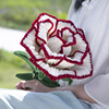 扭扭棒diy花边大玫瑰巨型花朵，闺蜜女朋友生日，结婚礼物手工材料包