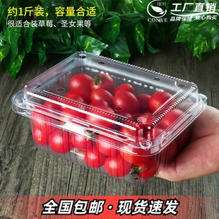 超市一次性水果包装盒透明塑料盒水果500M水果店一斤装草莓打包盒