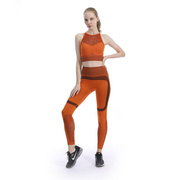瑜伽运动裤服健身女套装连衣专业紧身跑步提臀外穿高腰2022竖条中