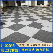 办公室地毯满铺拼接方块台球厅酒店客厅公寓商用大面积通铺地垫