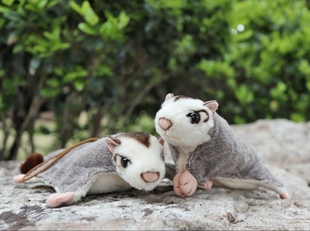 挂饰磁铁仿真摆件可爱蜜袋鼯澳洲飞鼠玩偶公仔毛绒玩具生日礼物