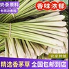 香茅草新鲜柠檬草叶香茅香料菜奶茶店，用品调料泰国冬阴功汤料原料